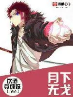 《月下无戈》小说封面
