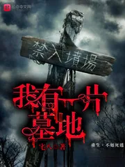 《我有一片墓地》小说封面