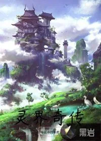 《灵界奇传》小说封面