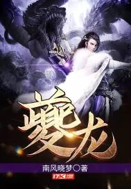 《夔龙》小说封面