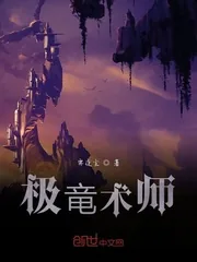 《极竜术师》小说封面