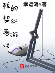 《我的契约者游戏》小说封面