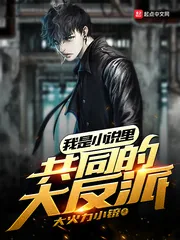 《我是小说里共同的大反派》小说封面