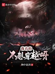 《我真的不想穿越呀》小说封面