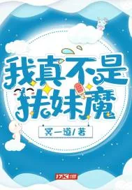 《我真不是扶妹魔》小说封面