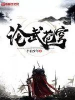 《论武苍穹》小说封面