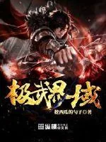 《极武界域》小说封面