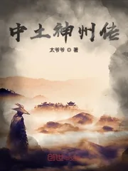《中土神州传》小说封面