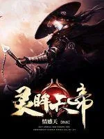 《灵眸天帝》小说封面