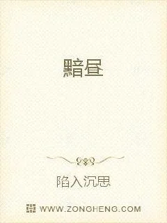 《黯昼》小说封面