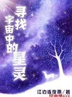 《寻找宇宙中的星灵》小说封面