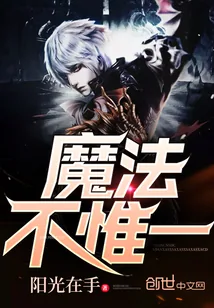 《魔法不惟一》小说封面