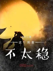 《这个刺客不太稳》小说封面