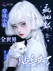 《穿成小猫,全世界疯批都贴上来了》小说封面