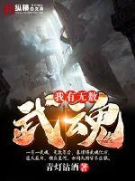《我有无数武魂》小说封面