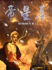《帝星墓》小说封面