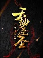 《天劫至圣》小说封面