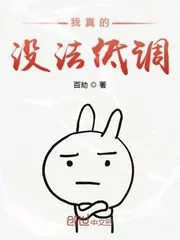 《我真的没法低调》小说封面