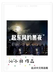 《起东风的黑夜》小说封面