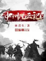 《中州风云记》小说封面