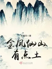 《金凤仙山有点土》小说封面