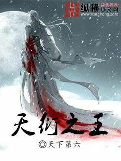 《天衍之王》小说封面
