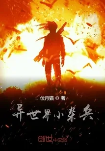 《异世界小杂兵》小说封面