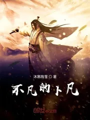 《不凡的卜凡》小说封面