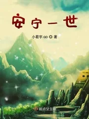 《安宁一世》小说封面