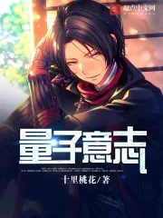 《量子意志》小说封面