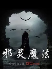 《邪灵魔法》小说封面