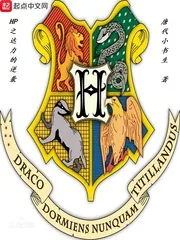 《HP之达力的逆袭》小说封面