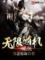 《无限随机系统》小说封面