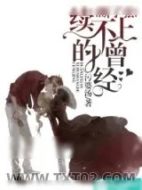 《断了弦，续不上的曾经》小说封面