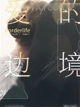 《爱的边境：当以色列亲吻阿拉伯》小说封面