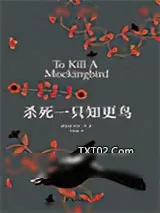 《杀死一只知更鸟》小说封面