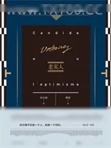 《老实人》小说封面