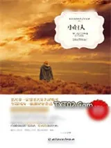 《小妇人》小说封面