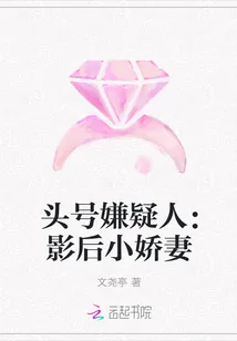 《头号嫌疑人：影后小娇妻》小说封面