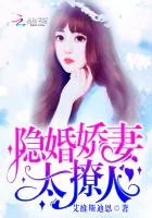 《隐婚娇妻,太撩人!》小说封面