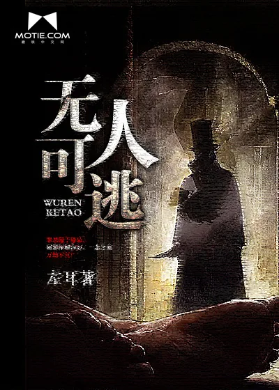 《无人可逃》小说封面