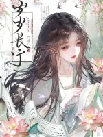 《岁岁长宁》小说封面