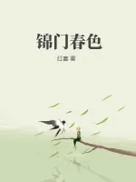 《锦门春色》小说封面