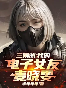 《三角洲：我的电子女友麦晓雯》小说封面