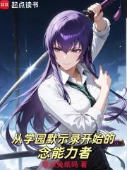 《从学园默示录开始的念能力者》小说封面