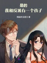 《是的，我和反派有一个孩子》小说封面
