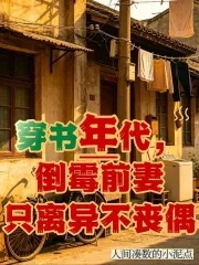 《穿书年代，倒霉前妻只离异不丧偶》小说封面