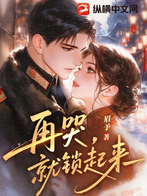 《再哭,就锁起来》小说封面