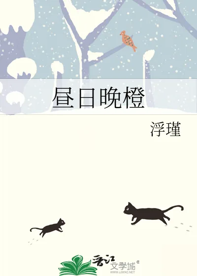 《昼日晚橙》小说封面