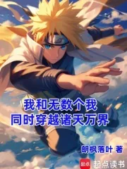 《我和无数个我，同时穿越诸天万界》小说封面
